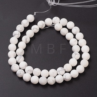 Natural Howlite Beads Strands G-G770-06-1