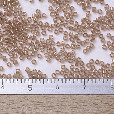 MIYUKI Delica Beads SEED-J020-DB0102-1