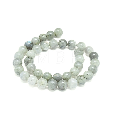 Natural Labradorite Beads Strands G-G828-01-10mm-1