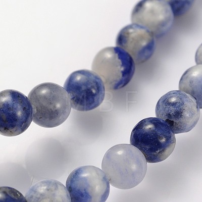 Natural Sodalite Beads Strands GSR4mmC013-1