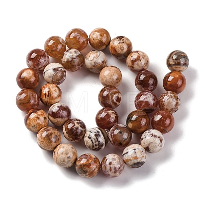 Natural Fire Crackle Agate Beads Strands G-G163-A01-04-1