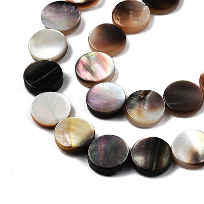 Natural Black Lip Shell Beads Strands SSHEL-N003-151B-1