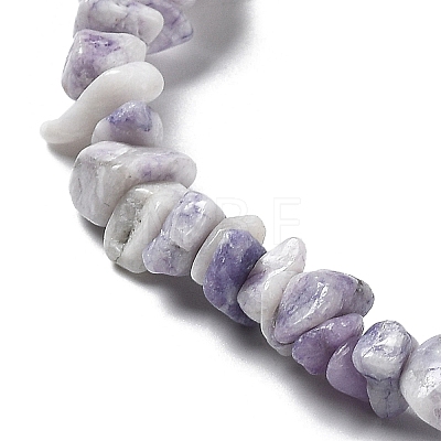 Natural Purple Turquoise Beads Strands G-M205-84-1