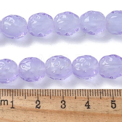 Handmade Lampwork Beads Strands LAMP-Z011-01C-1