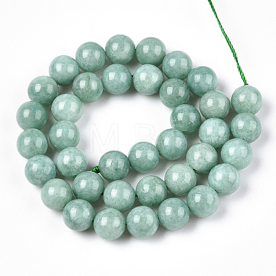 Natural Myanmar Jade/Burmese Jade Beads Strands X-G-T064-22-10mm-1