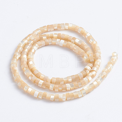 Natural Trochid Shell/Trochus Shell Beads Strands SSHEL-L016-13B-1