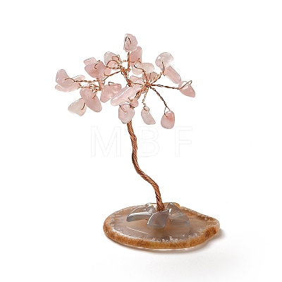 Natural Rose Quartz Chips Tree Display Decorations DJEW-C003-01E-1