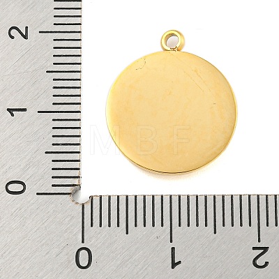 304 Stainless Steel Pendants STAS-L080-014G-01-1