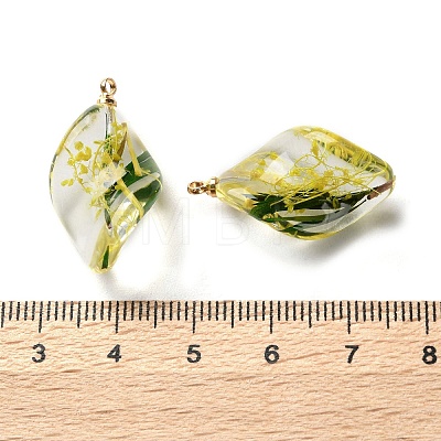 Inner Dried Flower Transparent Resin Pendants RESI-A043-02C-1