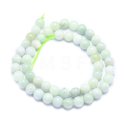 Natural Myanmar Jade/Burmese Jade Beads Strands G-K310-C05-8mm-1