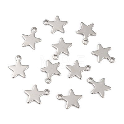304 Stainless Steel Charms STAS-G190-27P-A-1