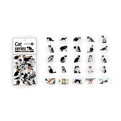 Cat PET Sticker PW-WG56820-04-1