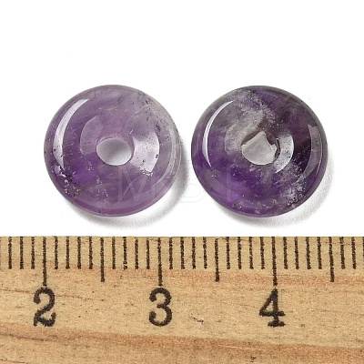 Natural Amethyst Donut/Pi Disc Charms G-G142-01S-1