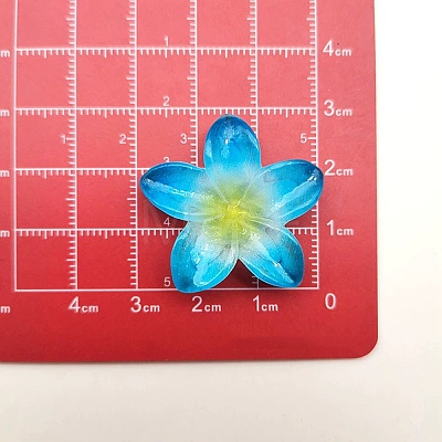 Opaque Resin Cabochons RESI-R455-01P-02-1