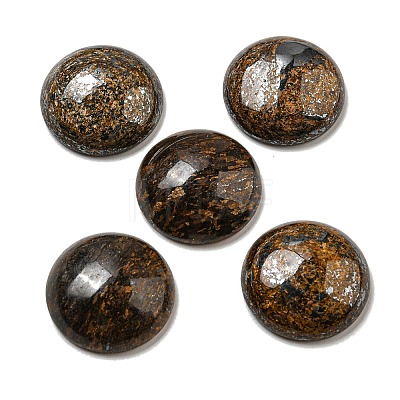 Natural Bronzite Cabochons G-C115-02A-25-1