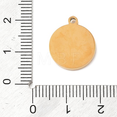 304 Stainless Steel Rhinestone Pendants RB-CBAB4B7-01J-G-1