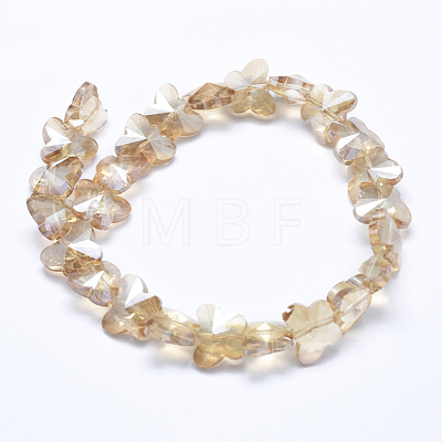 Glass Beads Strands EGLA-F133-1