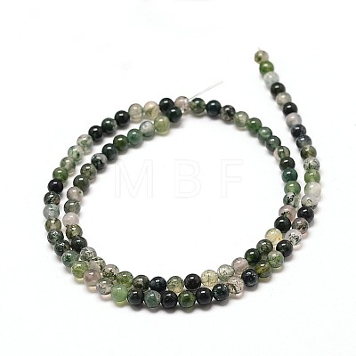 Natural Moss Agate Round Bead Strands G-P072-01-8mm-1