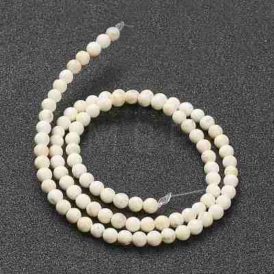 Nrtutal Magnesite Beads Strands G-L575-01A-1