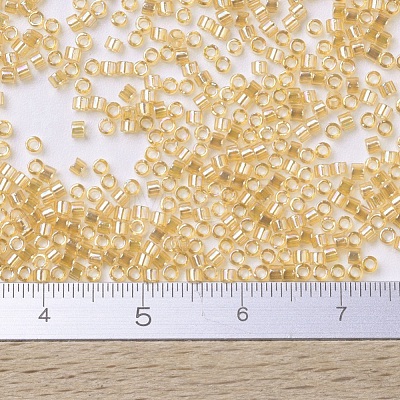 MIYUKI Delica Beads Small SEED-X0054-DBS0100-1