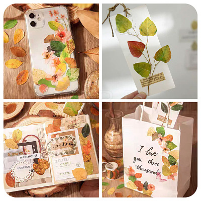 Autumn Leaf Paper Tape Stickers for Card Making DIY-TAC0032-23C-1