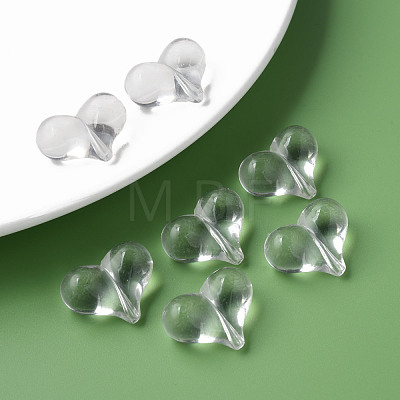 Transparent Acrylic Beads MACR-S373-70-B01-1