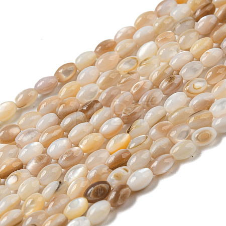 Natural Freshwater Shell Beads Strands SHEL-H072-03-1