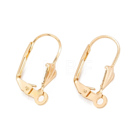 304 Stainless Steel Leverback Earring Findings STAS-K218-08G-1