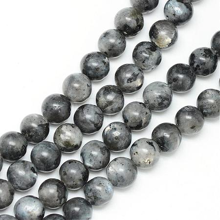 Natural Larvikite Beads Strands G-R345-10mm-33-1