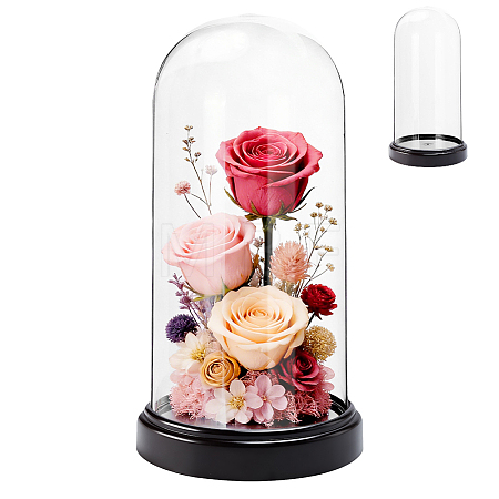 Acrylic Dome Cover DIY-WH0899-949A-1