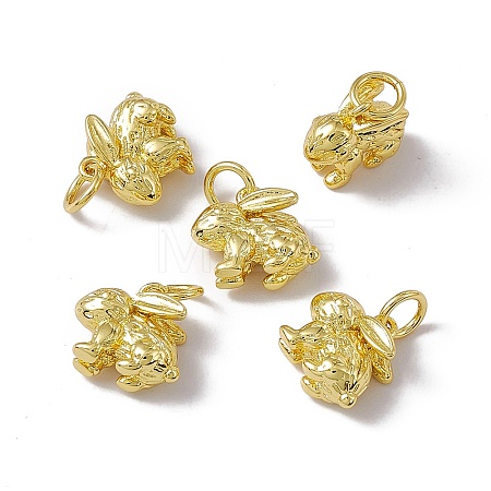 Rack Plating Brass Charms KK-C007-17G-1
