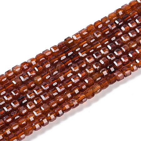 Natural Garnet Beads Strands X-G-P457-B01-18A-1