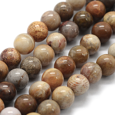 Natural Fossil Coral Beads Strands G-G763-12-12mm-1