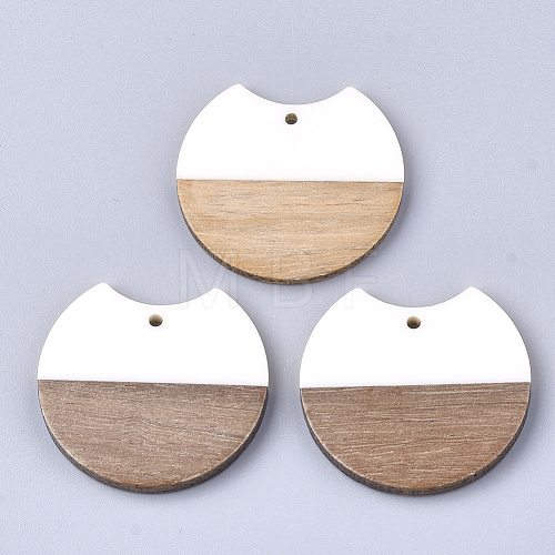 Resin & Walnut Wood Pendants RESI-T023-11H-1-1