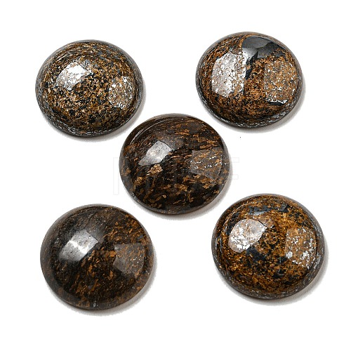 Natural Bronzite Cabochons G-C115-02A-25-1