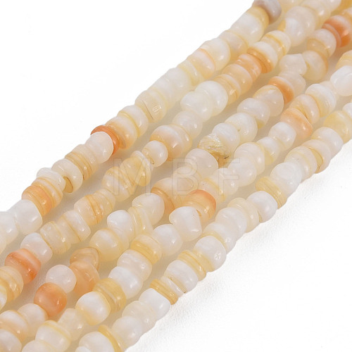 Natural Freshwater Shell Beads Strands SHEL-S278-066C-1