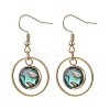 Paua Shell Dangle Earrings EJEW-JE06981-2