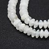 Natural Rainbow Moonstone Beads Strands G-I249-D15-3