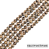 Natural Dalmatian Jasper Stone Bead Strands G-OC0001-56-6