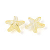 Frosted Glass Beads FGLA-T005-01K-2