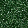 8/0 Glass Seed Beads X2-SEED-A005-3mm-27-2