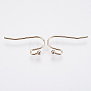 Brass Earring Hooks KK-K224-02G-1