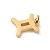 304 Stainless Steel Charms STAS-R001-04G-03-2