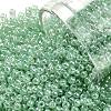 TOHO Round Seed Beads SEED-XTR11-0144-1