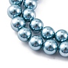 Shell Pearl Beads Strands BSHE-K015-6mm-02-3