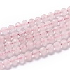 Natural Rose Quartz Beads G-H266-23-1