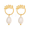 304 Stainless Steel with Freshwater Pearl Stud Dangle Earrings BO9211-5