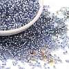 Glass Seed Beads X-SEED-S042-04B-22-1