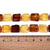 Natural Amber Beads Strands G-N371-15B-01-5