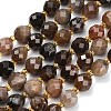 Natural Petrified Wood Beads Strands GG-CBA4A3B-A08-2